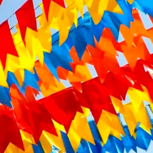 Bandeirinha De Festa Junina Em TNT Reutilizável 10 metros - Cia das Capas