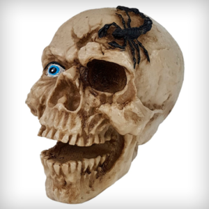 Crânio Caveira Escorpião Em Resina Hallowen Skull Decorativo
